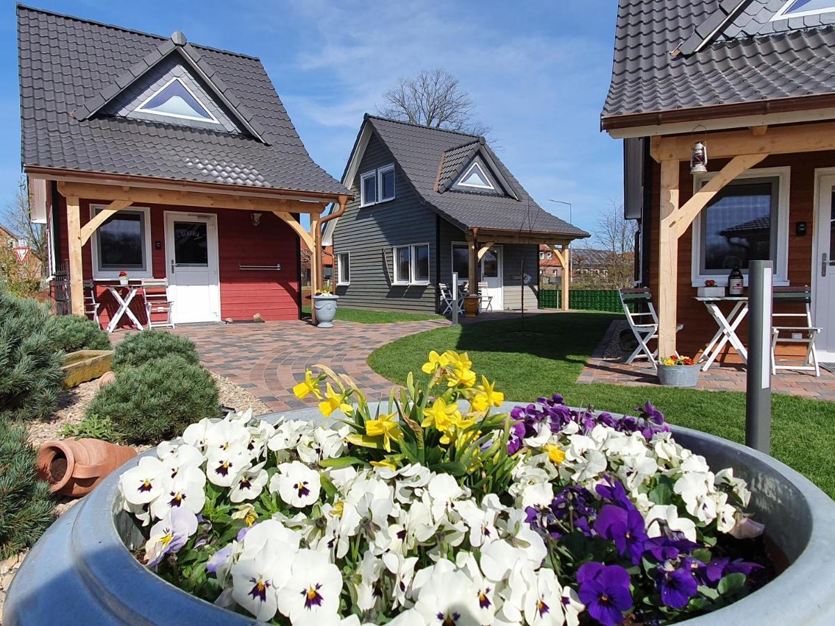 Tiny Haus Dorf Wendland Villa Gartow Esterno foto